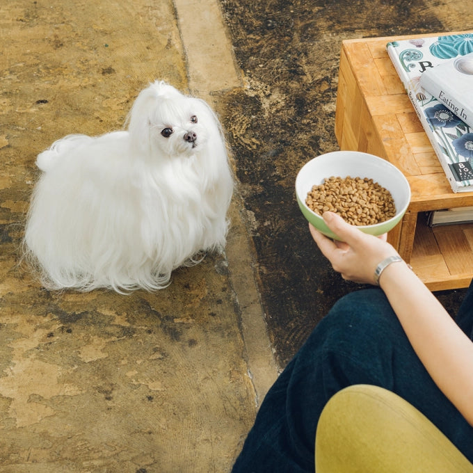 Superior Care Hypoallergenic Grain Free Adult All Breeds