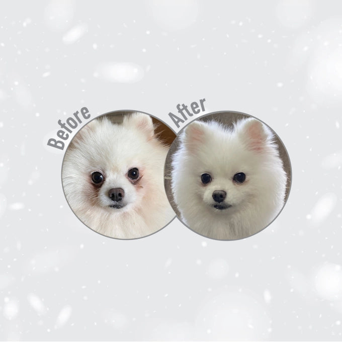 Superior Care White Dogs Lamb Adult Small&Mini Breeds