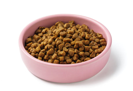 Diete veterinare pisici