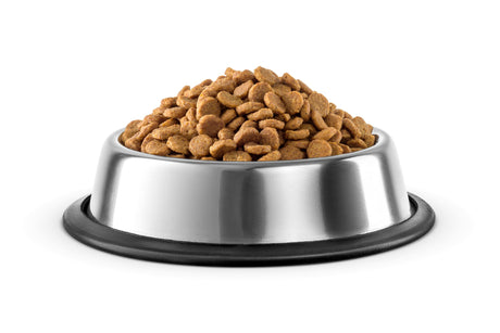 Diete veterinare caini