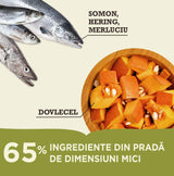 Acana Bountiful Catch - ingrediente: somon, hering, merluciu si dovlecel
