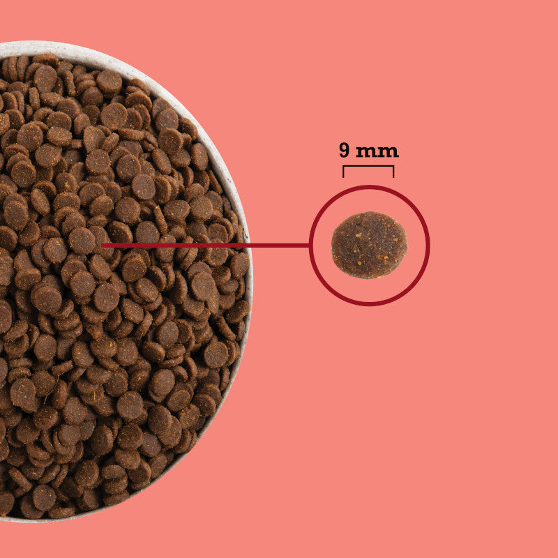 Acana Acana Cat Highest Protein Indoor 4.5 Kg - imagine 3