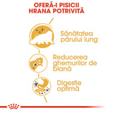 Royal Canin Persian Adult