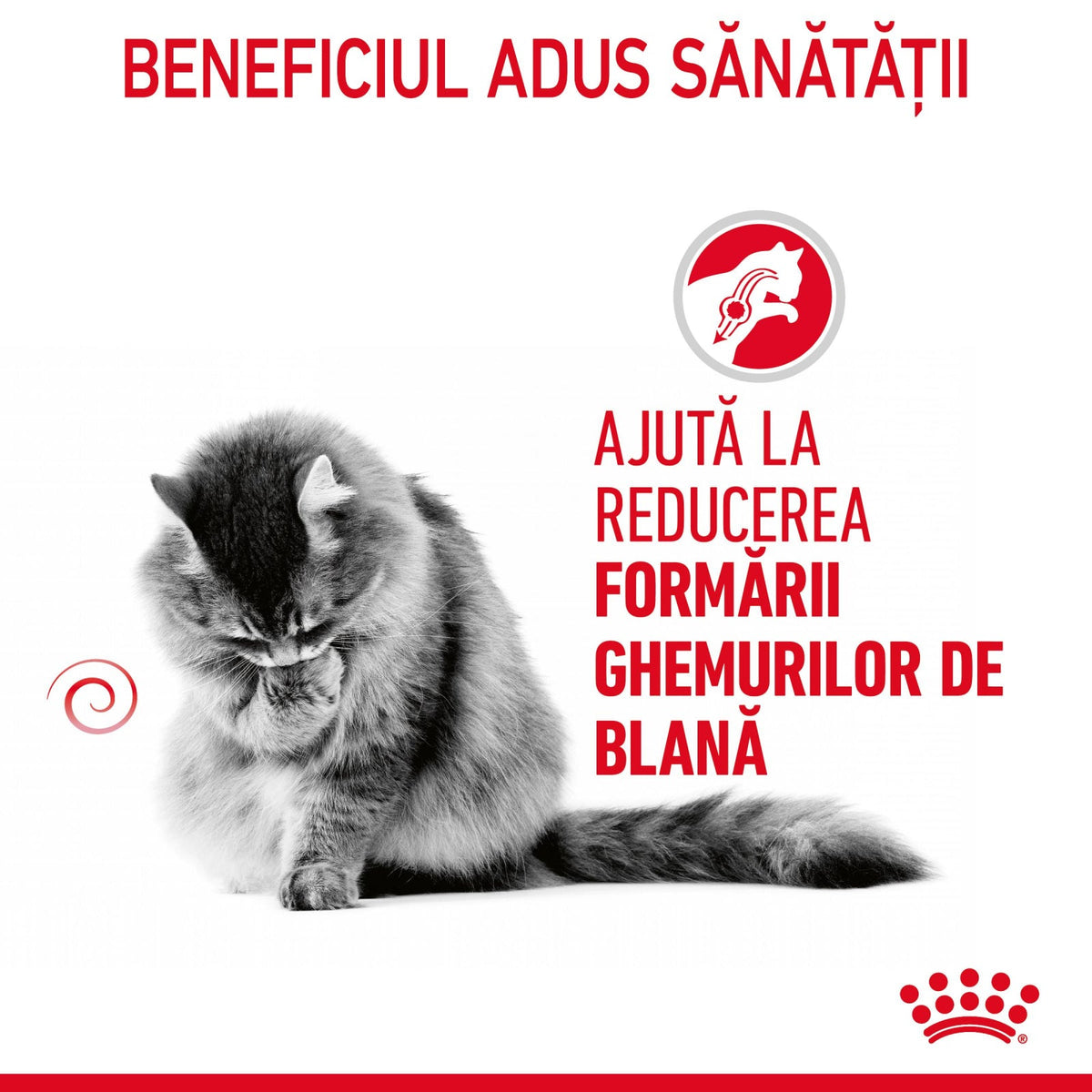 Royal Canin Hairball Care Gravy Plic 85 G