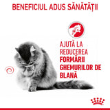 Royal Canin Hairball Care Gravy Plic 85 G