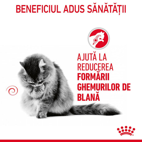 Royal Canin Hairball Care Gravy Plic 85 G