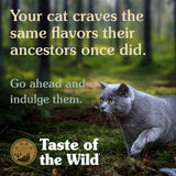 Taste of the Wild – prezentarea hranei pentru pisici