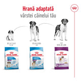 Royal Canin Giant Adult