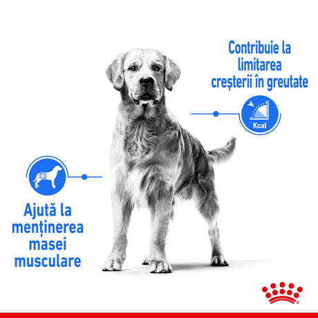 Royal Canin Maxi Light Weight Care