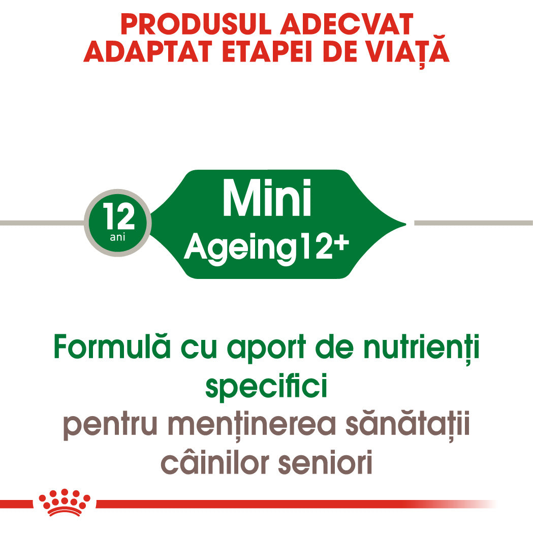 Royal Canin Mini Ageing Plic 85 G