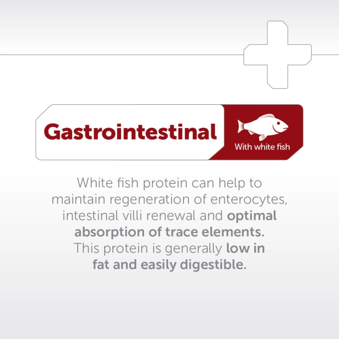 Superior Care Veterinary Diet Gastrointestinal Adult All Breeds cu Peste Alb