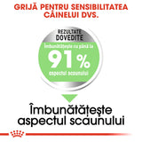 Royal Canin Medium Digestive Care