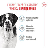 Royal Canin Giant Junior
