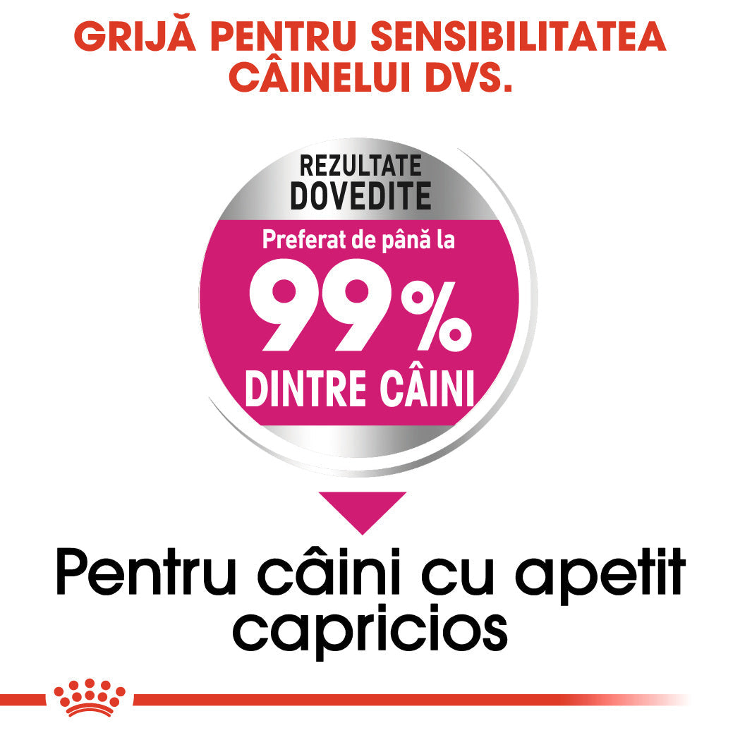Royal Canin Mini Exigent