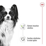 Royal Canin X-Small Plic 85 G
