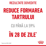 Royal Canin Dental Care