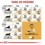 Royal Canin Persian Adult