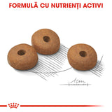 Royal Canin Mini Light Weight Care