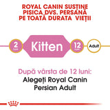 Royal Canin Persian Kitten