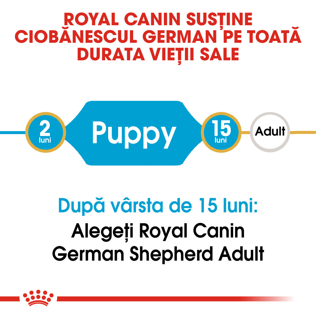 Royal Canin German Shepherd Junior