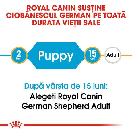 Royal Canin German Shepherd Junior