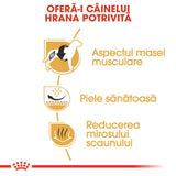 Royal Canin French Bulldog Adult