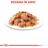Royal Canin Instinctive In Jelly Plic 85 G