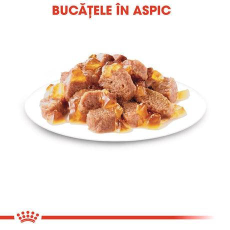 Royal Canin Instinctive In Jelly Plic 85 G