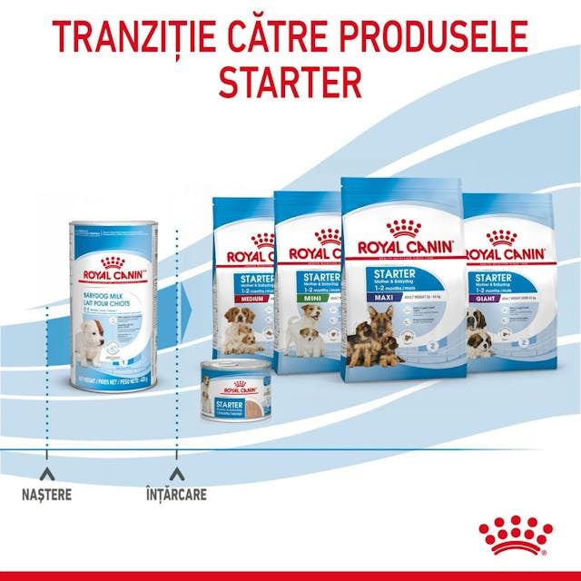 Royal Canin Baby Dog Milk 400 Gr