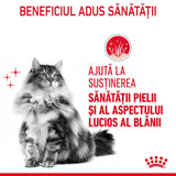 Royal Canin Hair&Skin Care in Jelly 85 G