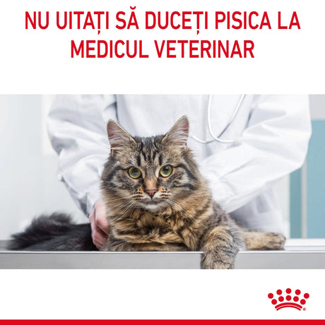 Royal Canin Digestive Care