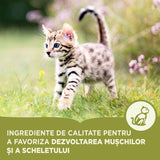 Acana Cat First Feast 1.8 Kg