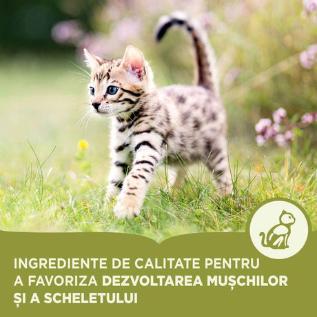 Acana Cat First Feast 1.8 Kg