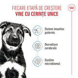Royal Canin Maxi Puppy