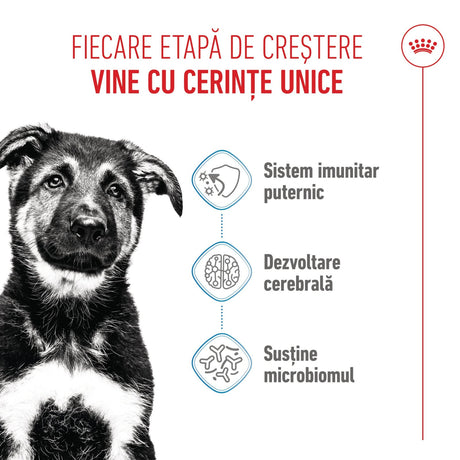 Royal Canin Maxi Puppy