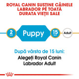 Royal Canin Labrador Retriever Junior