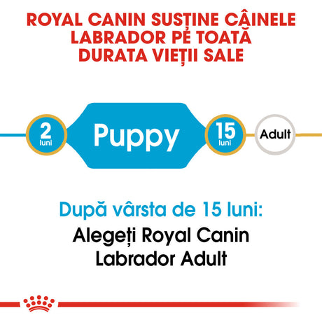 Royal Canin Labrador Retriever Junior
