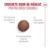 Royal Canin Ageing 11+ Sterilised 400 Gr