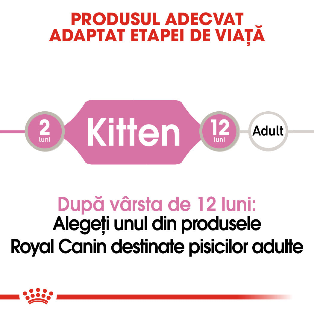 Royal Canin Kitten In Loaf Plic 85 G