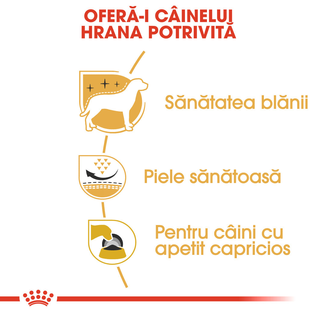 Royal Canin Westie Adult