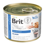 Brit GF Veterinary Diets Recovery Conserva