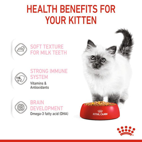 Royal Canin Kitten In Jelly Plic 85 G
