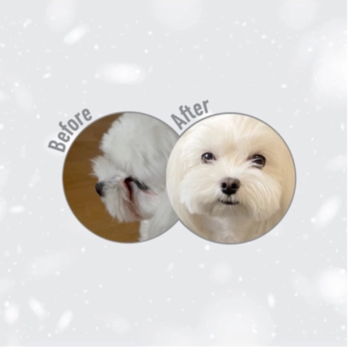 Superior Care White Dogs Grain Free Small&Mini Breeds Adult cu Peste Alb
