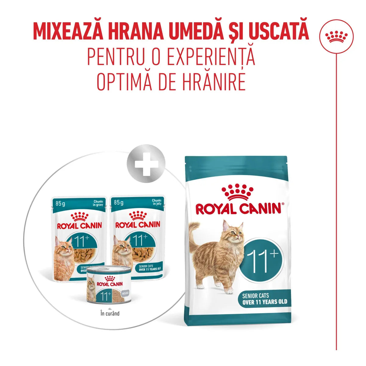 Royal Canin Ageing +11 Plic 85 G