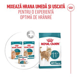 Royal Canin Ageing +11 Plic 85 G