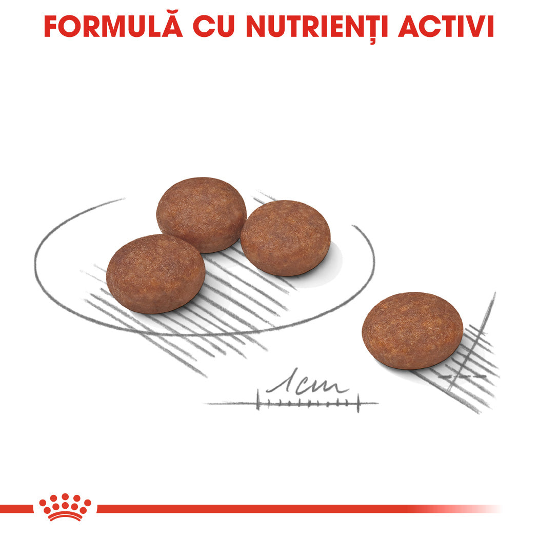 Royal Canin Mini Digestive Care