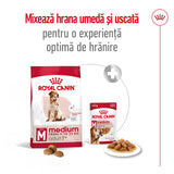 Royal Canin Medium Adult 7+