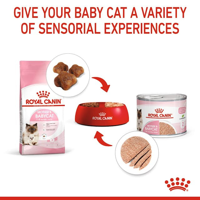 Royal Canin Babycat&Mother Mousse Conserva