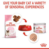 Royal Canin Babycat&Mother Mousse Conserva