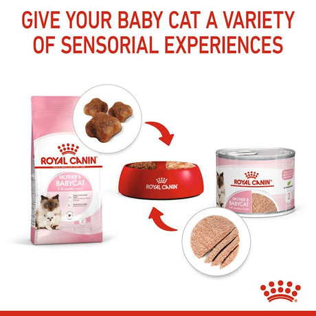 Royal Canin Babycat&Mother Mousse Conserva